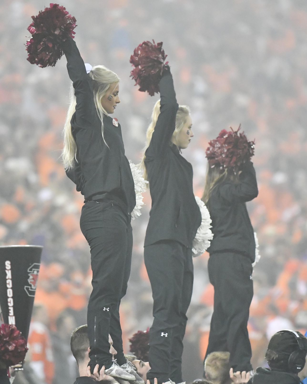 Clemson vs South Carolina 2018-106.jpg